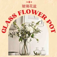 Glass Flower Pot
